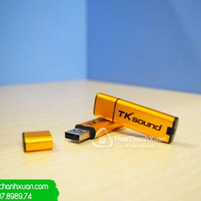 USB Kim Loại Nắp Rời Có Dây Móc - UKL01C