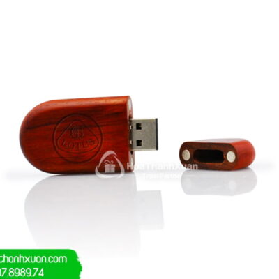 USB Vỏ Gỗ Hình Dạng Bánh Gạo - UVG03A