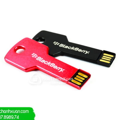 USB Chìa Khóa Tiện Dụng In Logo - UCK02A