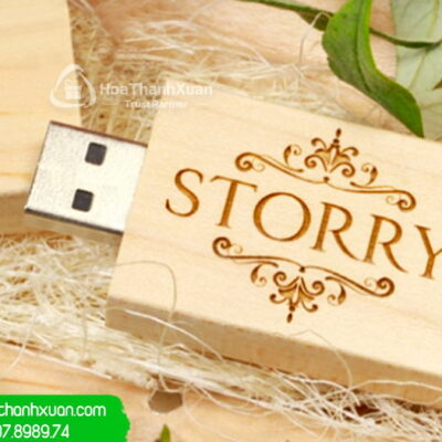 USB Vỏ Gỗ Hình Dạng Chữ Nhật - UVG04C