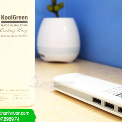 pin sac du phong vo nhua in logo pvn01b Pin Sạc Dự Phòng Vỏ Nhựa In Logo - PVN01B