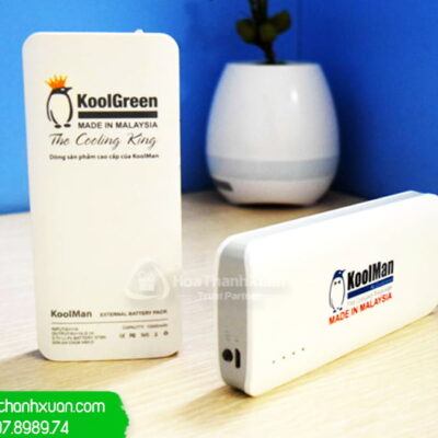 pin sac du phong vo nhua in logo pvn01c Pin Sạc Dự Phòng Vỏ Nhựa In Logo - PVN01C