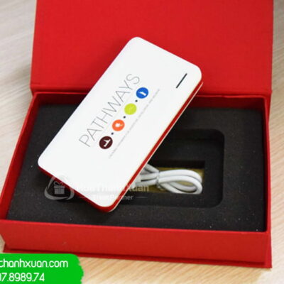 Pin Sạc Dự Phòng Vỏ Nhựa In Logo - PVN03B