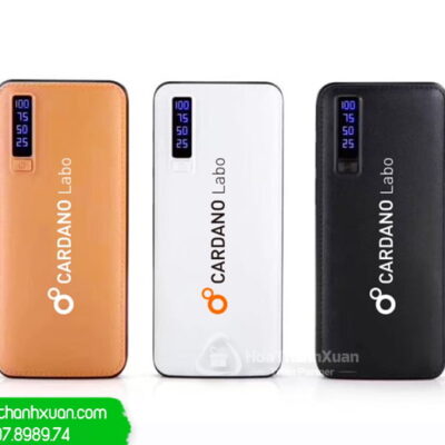 Pin Sạc Dự Phòng Vỏ Nhựa In Logo - PVN08B